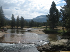 A Typical Scene in Tuolumne Meadows